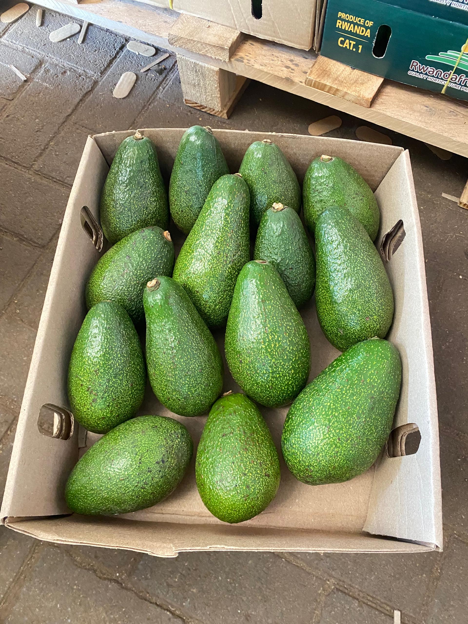 Growing Avocados. Supporting Local Markets.